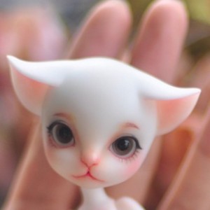 An An's faceup